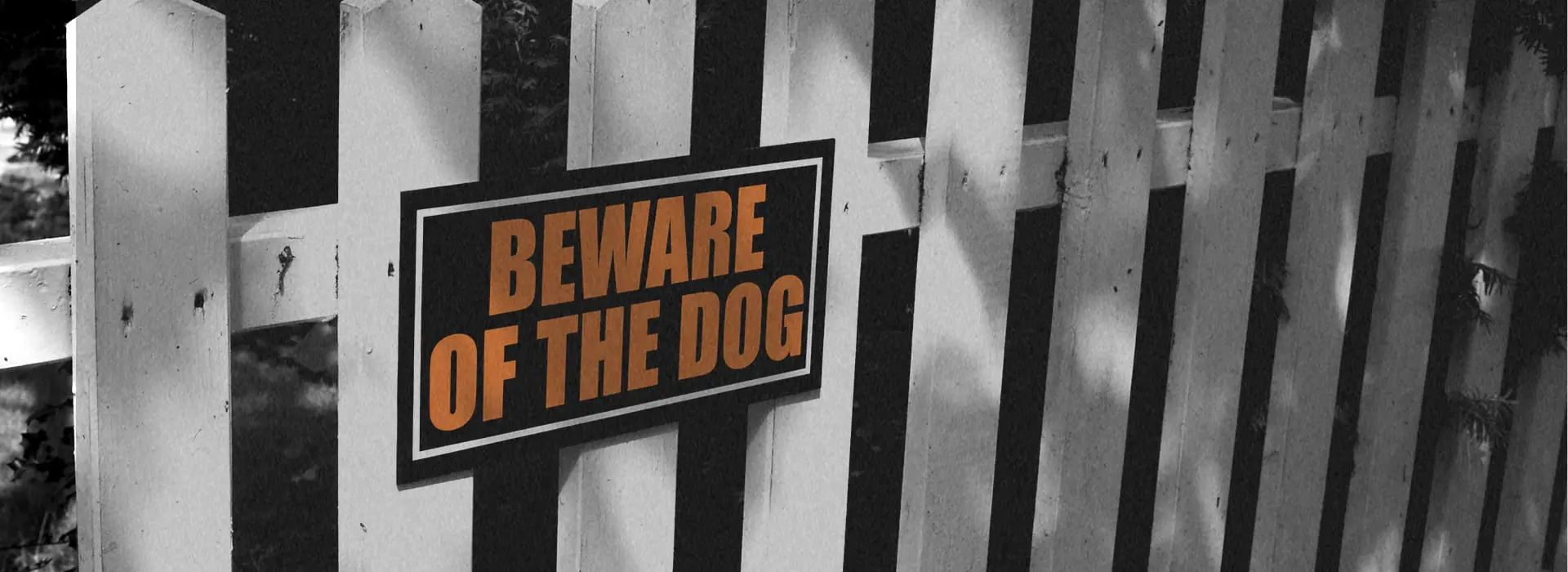 A low-color photograph of a 'Beware of the Dog' sign on a picket fence